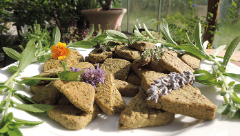 Kräuterkekse mit Stevia