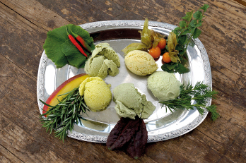 Eis mit Kräutern