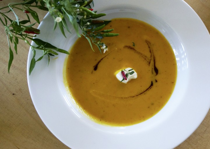 Birgitsuppe_DSC09502