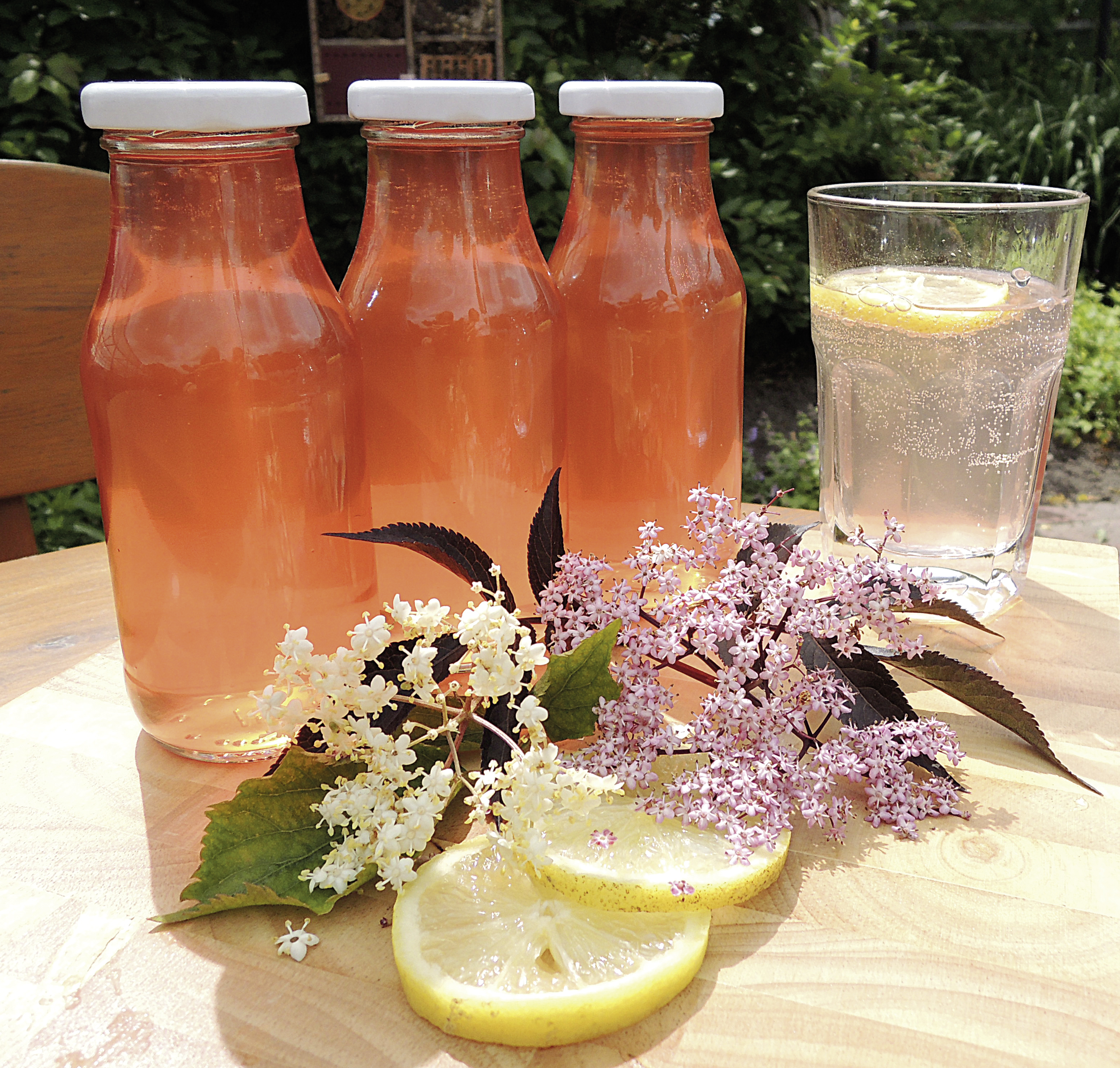 Holunderblüten-Sirup | Getränke | Rezepte | Praxis | Rühlemann&amp;#39;s ...