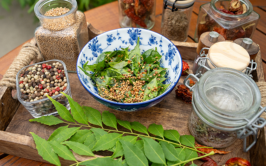Indischer Currybaum (Pflanze)