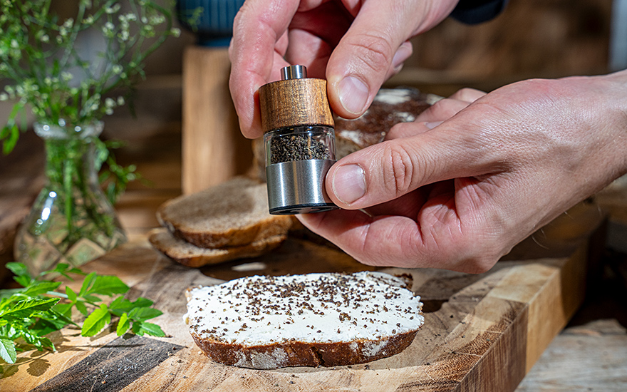 Gewürzdolde (Pflanze)