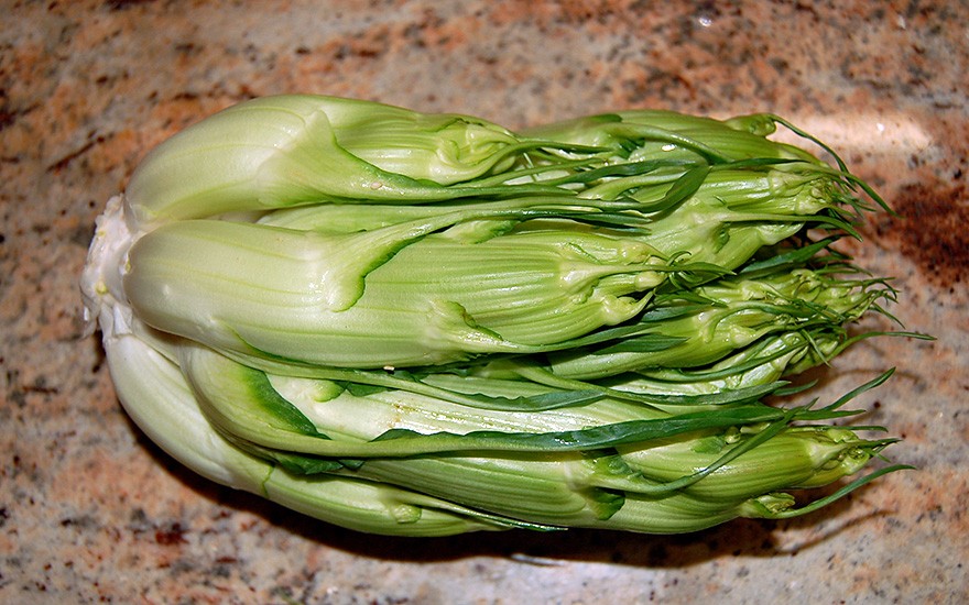 Puntarelle (Saatgut)