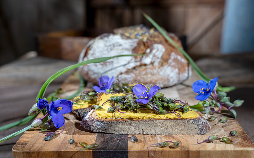 Ohio-Dreimasterblume (Pflanze)