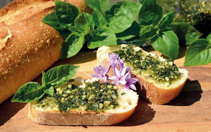 veganes-pesto-mit-cashewkernen