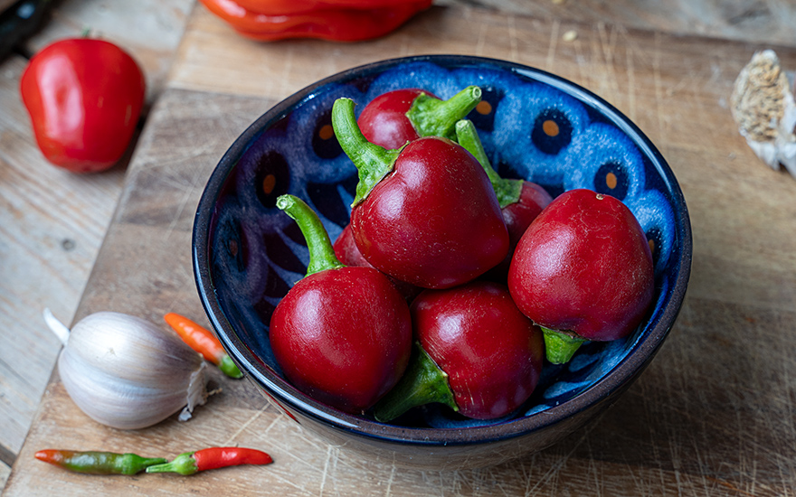 Ungarische Kirschpeperoni (Saatgut)