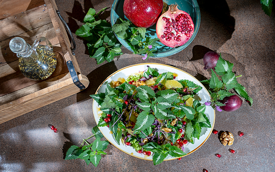 Gefleckte Taubnessel (Pflanze)