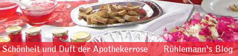 apothekerrose-blogbanner