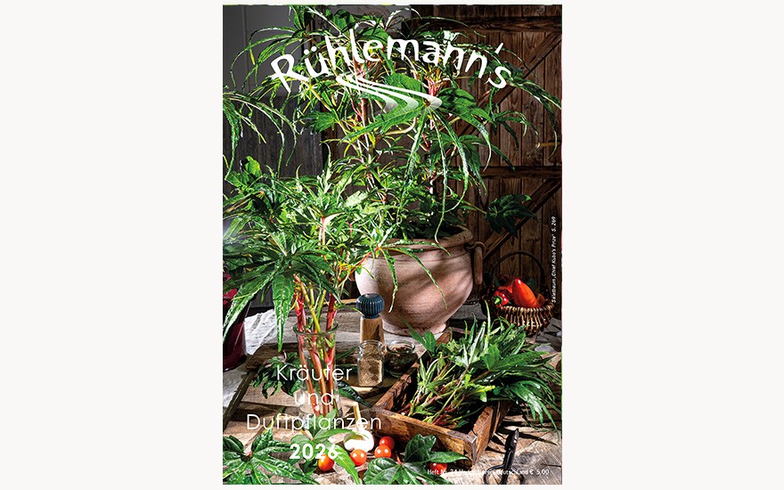 Rühlemann's Katalog 2026