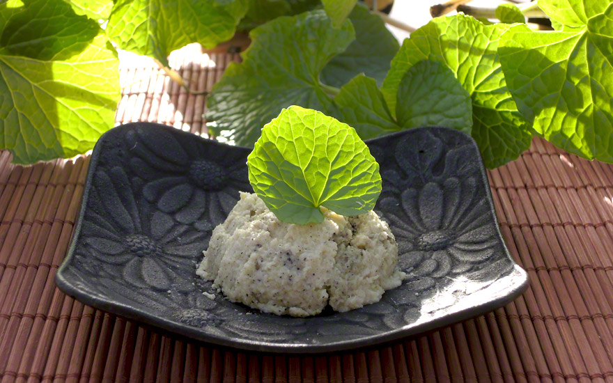 Wasabi, Japanischer Meerrettich (Pflanze)