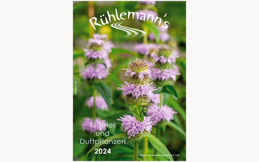 Rühlemann's Katalog 2024