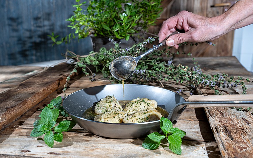 Kärntner Nudelminze (Pflanze)