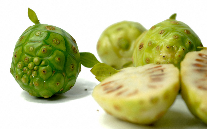 Noni (Saatgut)