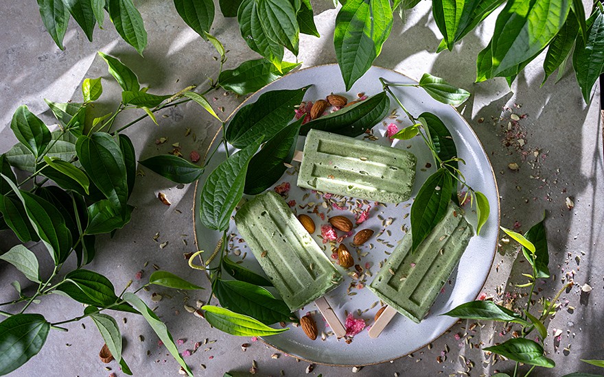 Betel-Pfeffer, Paan (Pflanze)