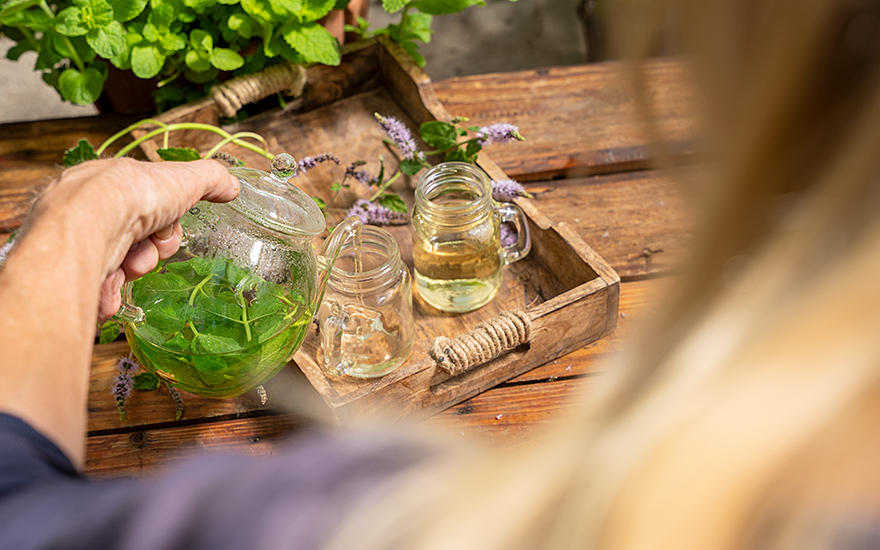 Eukalyptus-Minze (Pflanze)