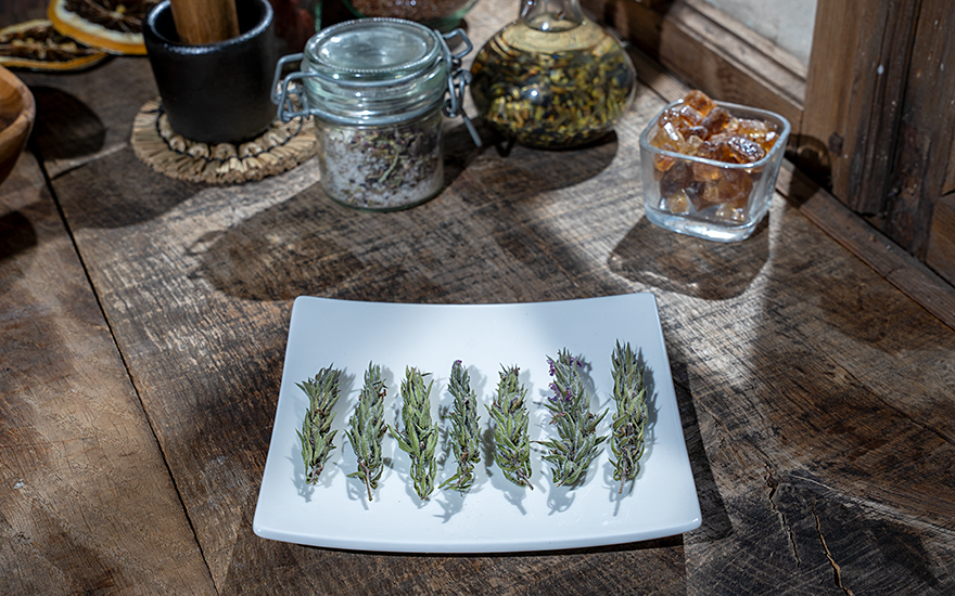 Zatar Sahrawi (Pflanze)