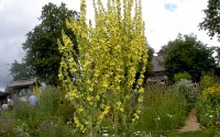 knstlicher wasserbecken Wasserbecken aus Aluminium fr den Garten - RR