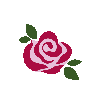 Duftaroma: Rose